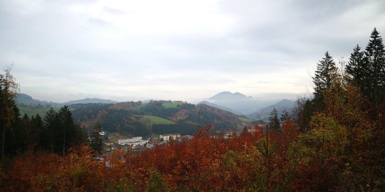 Zimmervermietung Stocker Waidhofen an der Ybbs Exterior foto